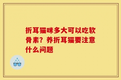 折耳猫咪多大可以吃软骨素？养折耳猫要注意什么问题