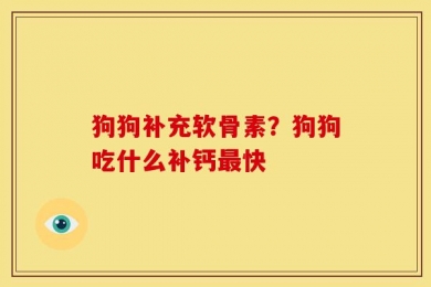 狗狗补充软骨素？狗狗吃什么补钙最快