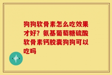 狗狗软骨素怎么吃效果才好？氨基葡萄糖硫酸软骨素钙胶囊狗狗可以吃吗