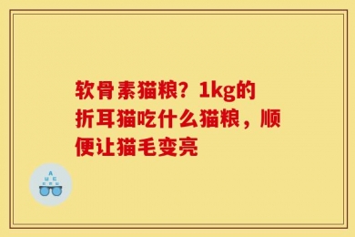 软骨素猫粮？1kg的折耳猫吃什么猫粮，顺便让猫毛变亮
