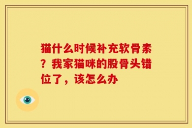 猫什么时候补充软骨素？我家猫咪的股骨头错位了，该怎么办