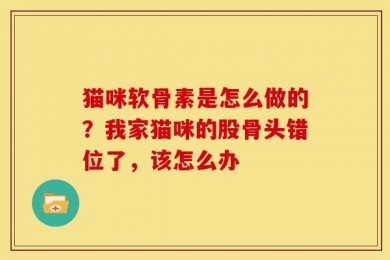 猫咪软骨素是怎么做的？我家猫咪的股骨头错位了，该怎么办