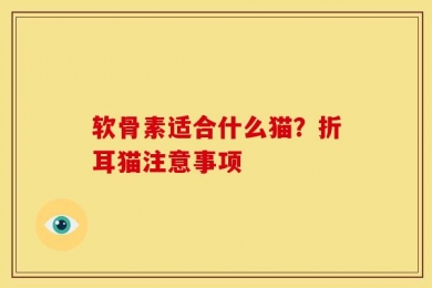 软骨素适合什么猫？折耳猫注意事项