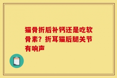 猫骨折后补钙还是吃软骨素？折耳猫后腿关节有响声