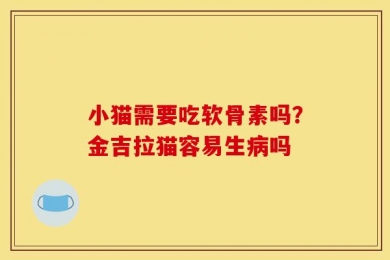 小猫需要吃软骨素吗？金吉拉猫容易生病吗