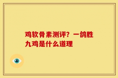 鸡软骨素测评？一鸽胜九鸡是什么道理