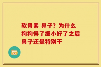软骨素 鼻子？为什么狗狗得了细小好了之后鼻子还是特别干