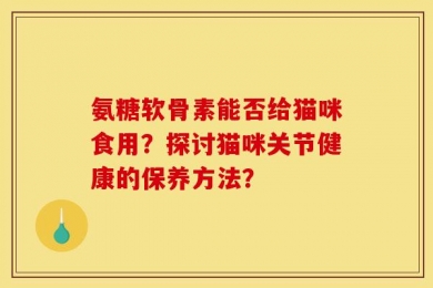 氨糖软骨素能否给猫咪食用？探讨猫咪关节健康的保养方法？