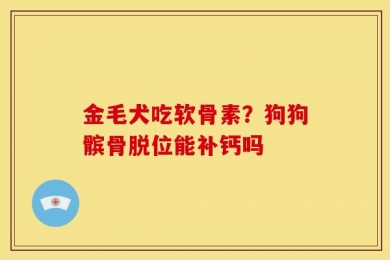 金毛犬吃软骨素？狗狗髌骨脱位能补钙吗
