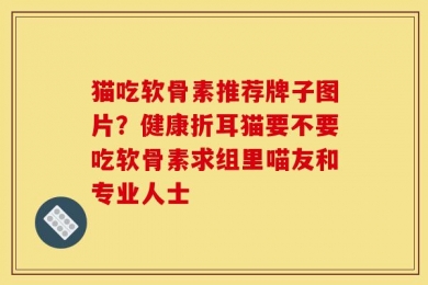 猫吃软骨素推荐牌子图片？健康折耳猫要不要吃软骨素求组里喵友和专业人士