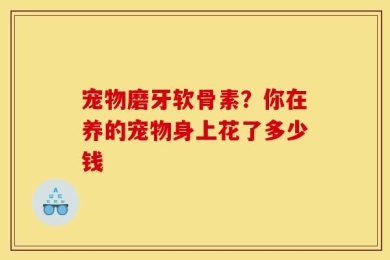宠物磨牙软骨素？你在养的宠物身上花了多少钱