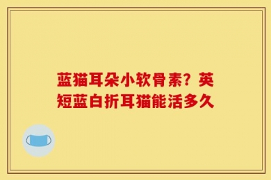 蓝猫耳朵小软骨素？英短蓝白折耳猫能活多久