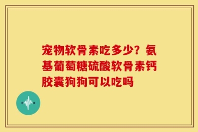宠物软骨素吃多少？氨基葡萄糖硫酸软骨素钙胶囊狗狗可以吃吗