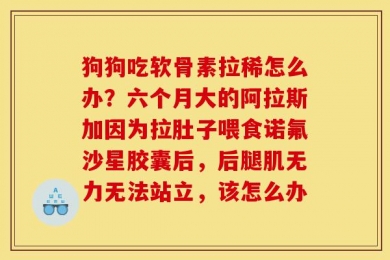 狗狗吃软骨素拉稀怎么办？六个月大的阿拉斯加因为拉肚子喂食诺氟沙星胶囊后，后腿肌无力无法站立，该怎么办