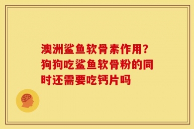 澳洲鲨鱼软骨素作用？狗狗吃鲨鱼软骨粉的同时还需要吃钙片吗
