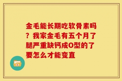 金毛能长期吃软骨素吗？我家金毛有五个月了腿严重缺钙成O型的了要怎么才能变直