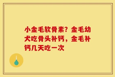 小金毛软骨素？金毛幼犬吃骨头补钙，金毛补钙几天吃一次