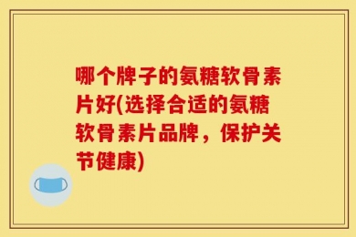 哪个牌子的氨糖软骨素片好(选择合适的氨糖软骨素片品牌，保护关节健康)