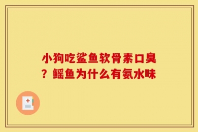 小狗吃鲨鱼软骨素口臭？鳐鱼为什么有氨水味