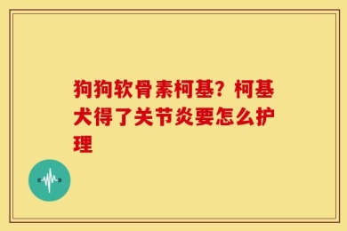 狗狗软骨素柯基？柯基犬得了关节炎要怎么护理
