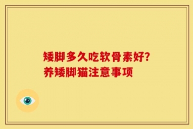 矮脚多久吃软骨素好？养矮脚猫注意事项