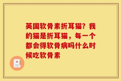 英国软骨素折耳猫？我的猫是折耳猫，每一个都会得软骨病吗什么时候吃软骨素