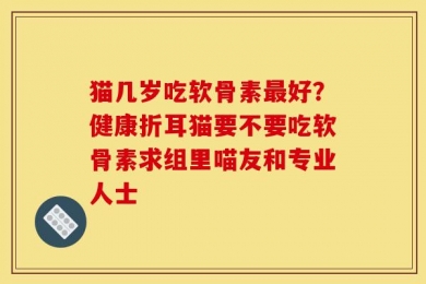 猫几岁吃软骨素最好？健康折耳猫要不要吃软骨素求组里喵友和专业人士