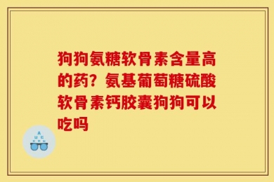 狗狗氨糖软骨素含量高的药？氨基葡萄糖硫酸软骨素钙胶囊狗狗可以吃吗