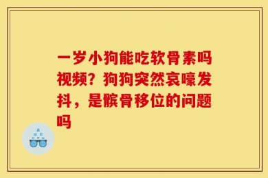 一岁小狗能吃软骨素吗视频？狗狗突然哀嚎发抖，是髌骨移位的问题吗