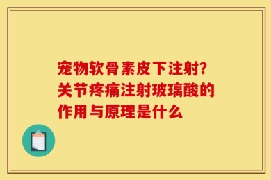 宠物软骨素皮下注射？关节疼痛注射玻璃酸的作用与原理是什么
