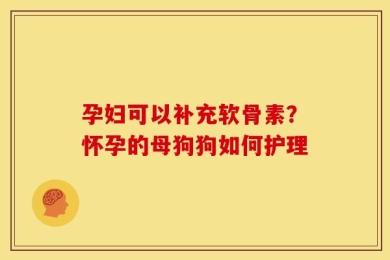 孕妇可以补充软骨素？怀孕的母狗狗如何护理