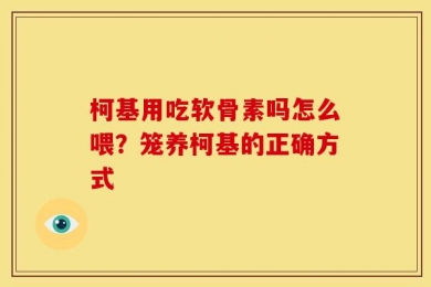 柯基用吃软骨素吗怎么喂？笼养柯基的正确方式