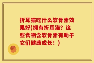 折耳猫吃什么软骨素效果好(拥有折耳猫？这些食物含软骨素有助于它们健康成长！)