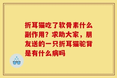 折耳猫吃了软骨素什么副作用？求助大家，朋友送的一只折耳猫驼背是有什么病吗