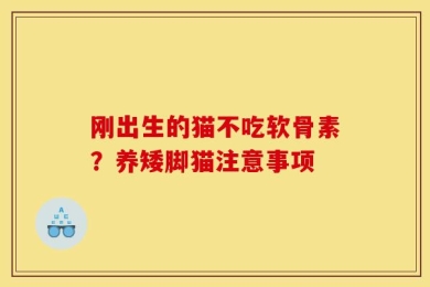 刚出生的猫不吃软骨素？养矮脚猫注意事项