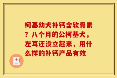 柯基幼犬补钙含软骨素？八个月的公柯基犬，左耳还没立起来，用什么样的补钙产品有效