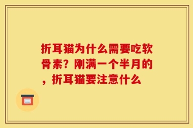 折耳猫为什么需要吃软骨素？刚满一个半月的，折耳猫要注意什么