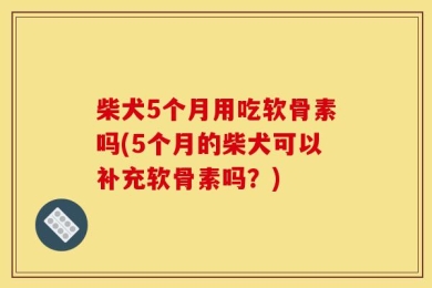 柴犬5个月用吃软骨素吗(5个月的柴犬可以补充软骨素吗？)