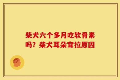 柴犬六个多月吃软骨素吗？柴犬耳朵耷拉原因