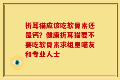 折耳猫应该吃软骨素还是钙？健康折耳猫要不要吃软骨素求组里喵友和专业人士