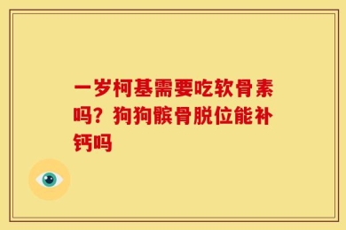 一岁柯基需要吃软骨素吗？狗狗髌骨脱位能补钙吗