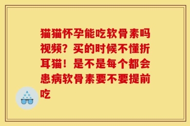 猫猫怀孕能吃软骨素吗视频？买的时候不懂折耳猫！是不是每个都会患病软骨素要不要提前吃