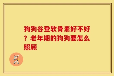狗狗谷登软骨素好不好？老年期的狗狗要怎么照顾