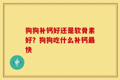 狗狗补钙好还是软骨素好？狗狗吃什么补钙最快