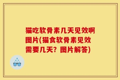 猫吃软骨素几天见效啊图片(猫食软骨素见效需要几天？图片解答)