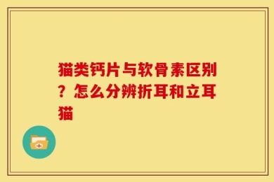 猫类钙片与软骨素区别？怎么分辨折耳和立耳猫