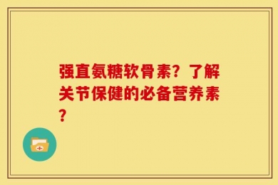 强直氨糖软骨素？了解关节保健的必备营养素？