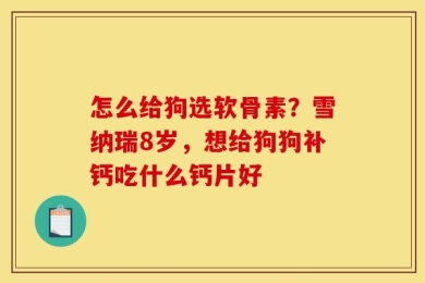 怎么给狗选软骨素？雪纳瑞8岁，想给狗狗补钙吃什么钙片好