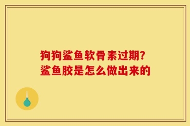 狗狗鲨鱼软骨素过期？鲨鱼胶是怎么做出来的