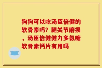 狗狗可以吃汤臣倍健的软骨素吗？腿关节磨损，汤臣倍健健力多氨糖软骨素钙片有用吗